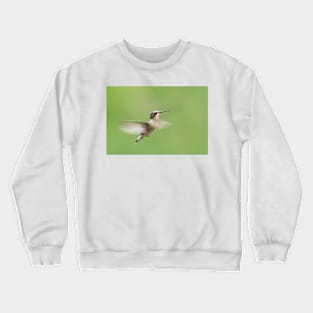 Ruby-throated Hummingbird Crewneck Sweatshirt